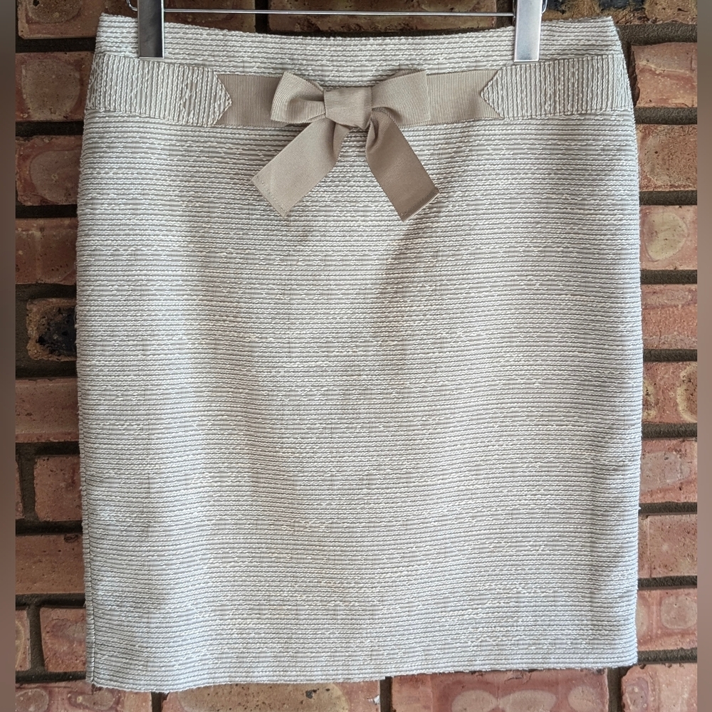 LOFT Ann Taylor Skirt